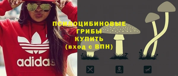 метадон Белокуриха