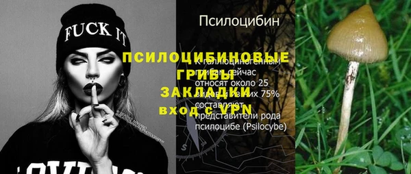 метадон Белокуриха